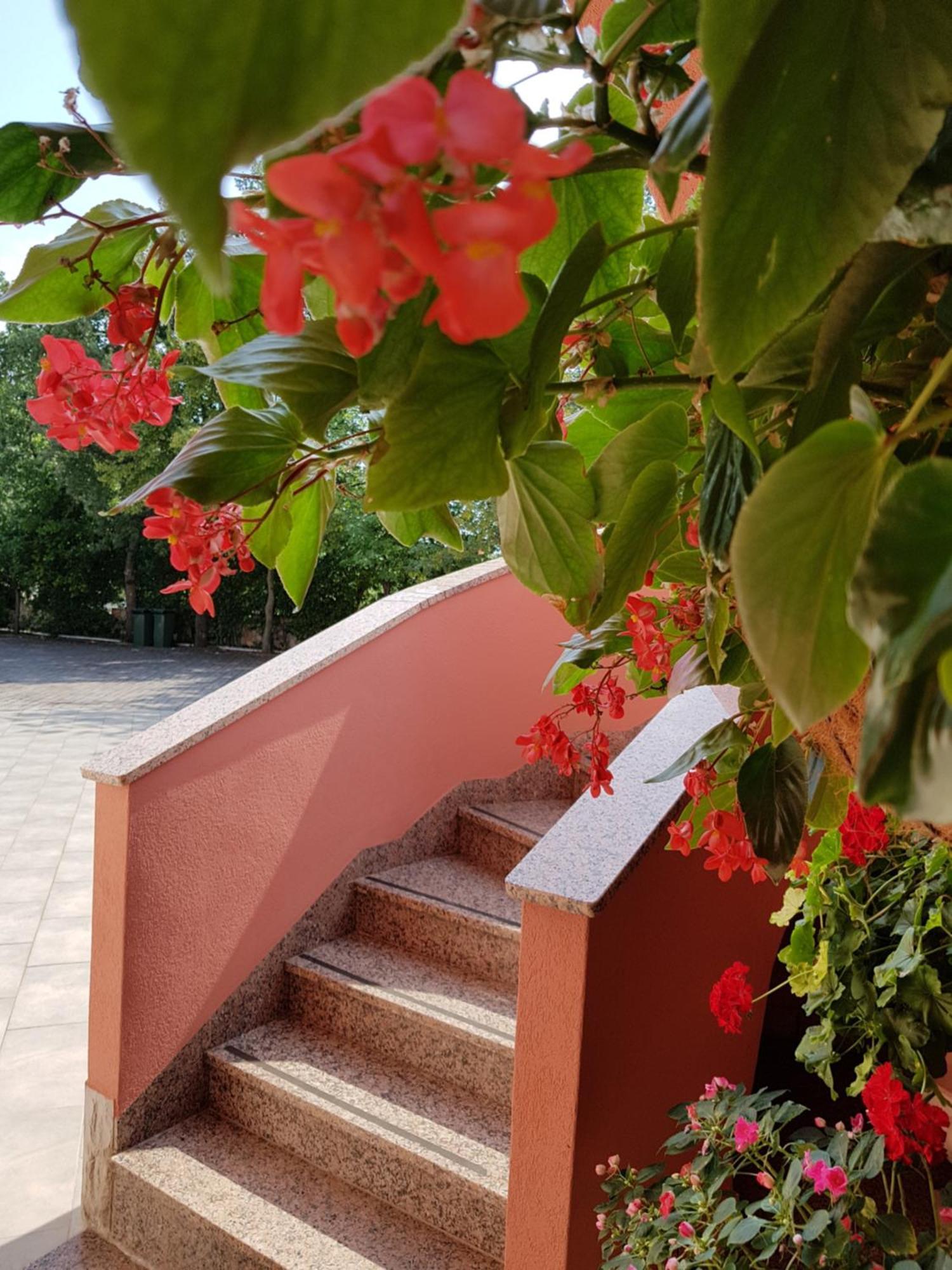 Apartments And Rooms Villa Chiara 卡尼卡 外观 照片