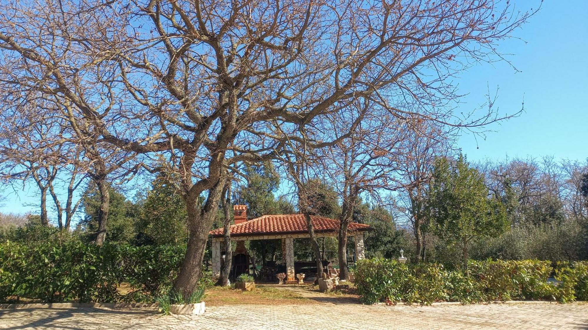 Apartments And Rooms Villa Chiara 卡尼卡 外观 照片